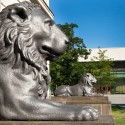 Löwe vor dem Löwengebäude